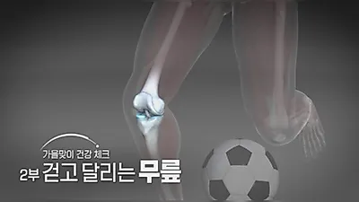 KBS Mysteries of the Human Body：膝の痛み、我慢して走ると腸脛靭帯炎を悪化させる