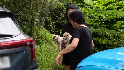 Baekgu, who guarded the yard for a year, finally allows Eun-sook's touch... TV Animal Farm hits 4.6%
