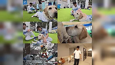 Rescue Dog Tobak-i, who won the hearts of Koo Ja-wook and Kim Young-woong, attempts first…