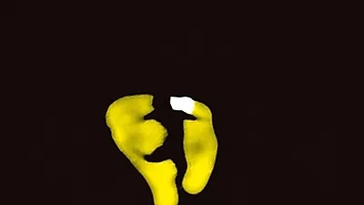 Musical 'Cats' Returns to Korea After 3 Years... Opening in Daegu this December