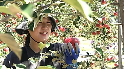 The Pianist Who Became a Daughter-in-law at a Hwacheon Apple Farm, October 19 KBS Screening Humanity