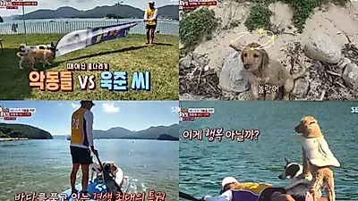 Geoje Island resident faces chaotic reality of raising two puppies