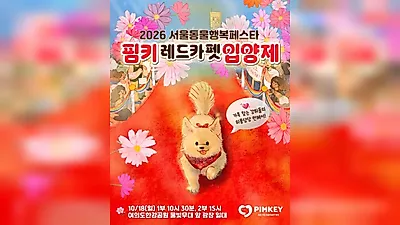 October 18 at Yeouido Hangang Park, an Adoption Festival to Meet 200 Abandoned Dogs