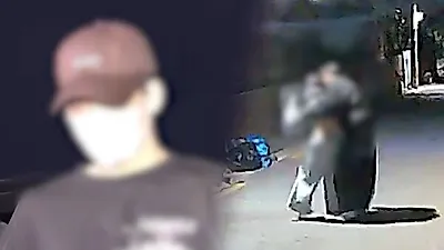 SBS to examine why domestic violence reports failed to prevent Songpa killing