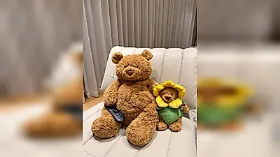 Pregnancy rumors sparked by Yuna Kim's teddy bear photo... All That Sports previously denied rumors
